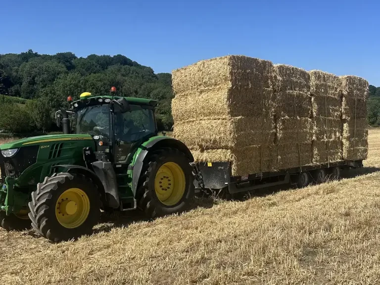 G-Moss-Contracting-20250815_141319